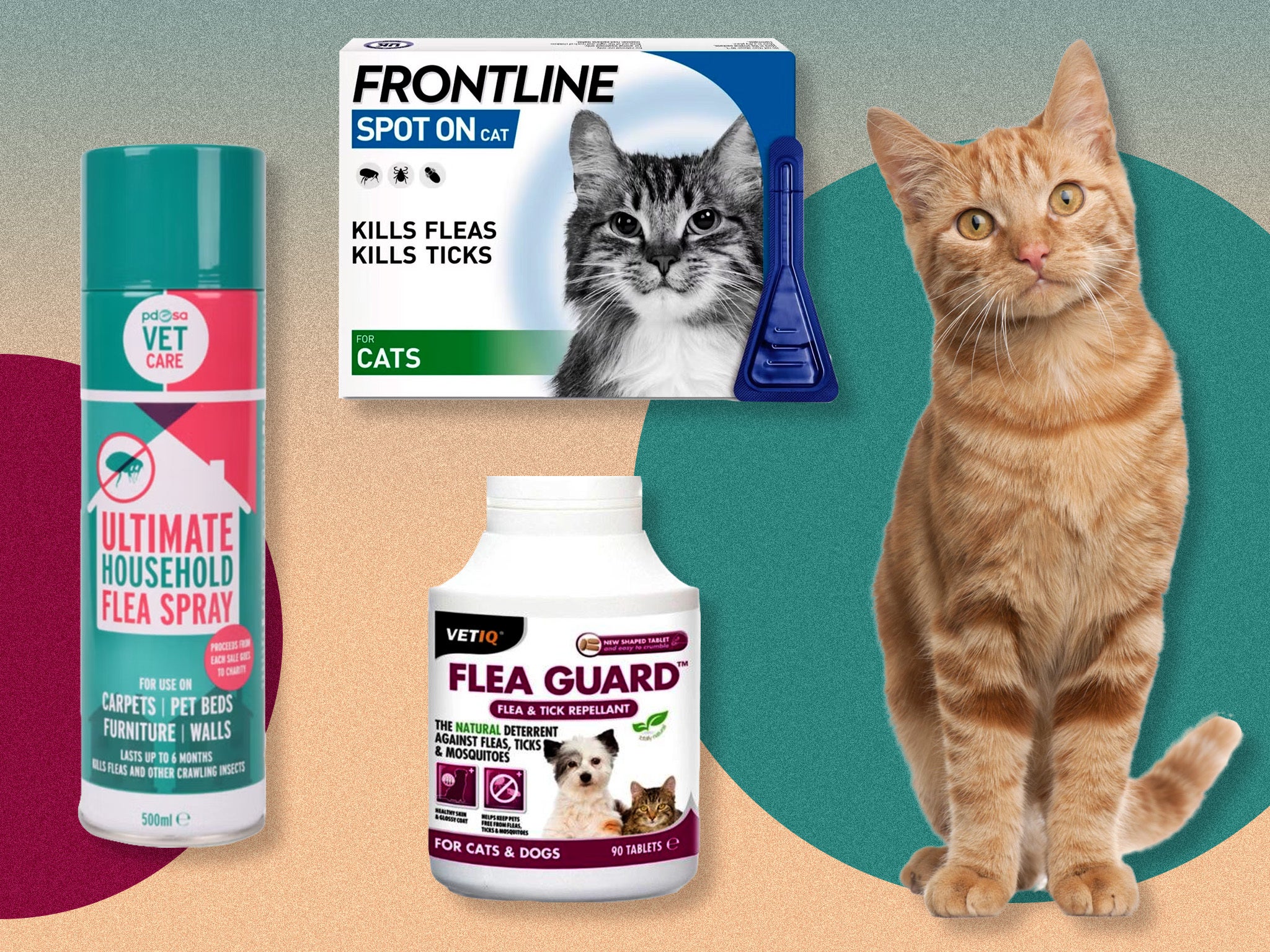 Frontline plus spot hotsell on cat flea treatment